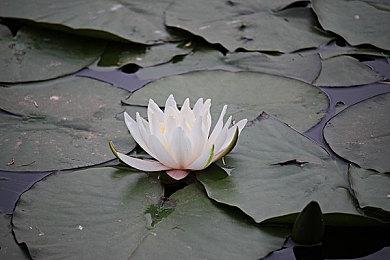 复古街机风格 《超级沃顿大奖赛2》正式发售